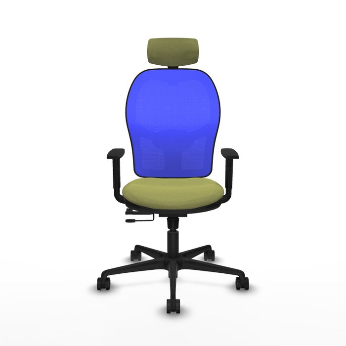 PIQUERAS Y CRESPO Silla de oficina Jorquera con mecanismo Sincro/Traslack Verde oliva y Azul PIQUERAS Y CRESPO Silla de oficina Jorquera con mecanismo Sincro/Traslack Verde oliva y Azul