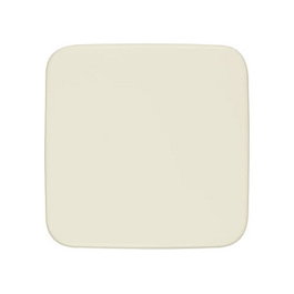 BUSCH-JAEGER C-212 Blindzentralscheibe Busch-Infoline blanco