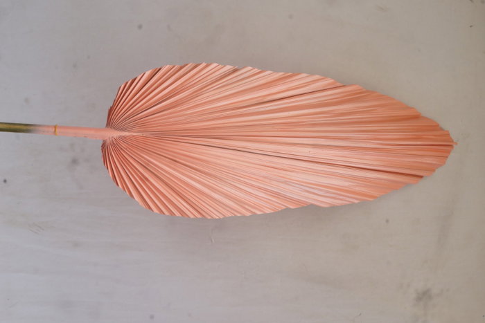 DKD Home Decor Rama Hoja de Palmera Surtido de 3 Colores (12 Piezas)