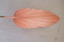 DKD Home Decor Rama Hoja de Palmera Surtido de 3 Colores (12 Piezas)