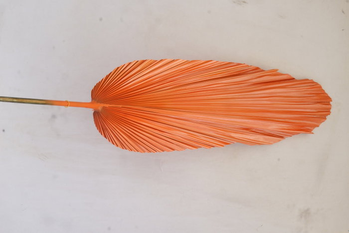 DKD Home Decor Rama Hoja de Palmera Surtido de 3 Colores (12 Piezas)