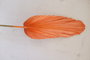 DKD Home Decor Rama Hoja de Palmera Surtido de 3 Colores (12 Piezas)