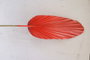 DKD Home Decor Rama Hoja de Palmera Surtido de 3 Colores (12 Piezas)