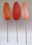 DKD Home Decor Rama Hoja de Palmera Surtido de 3 Colores (12 Piezas)