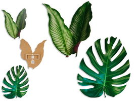 Giftdecor Silueta Pared Hojas 60 cm Surtidos en DM Verde para Colgar (Set de 2)