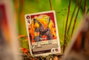 Renegade The Vale of Eternity Juego de cartas Edición Inglés