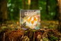 Renegade The Vale of Eternity Juego de cartas Edición Inglés