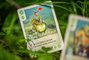 Renegade The Vale of Eternity Juego de cartas Edición Inglés