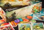 Renegade The Vale of Eternity Juego de cartas Edición Inglés