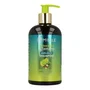 Mielle Avocado & Tamanu Anti Frizz Shampoo 355ml