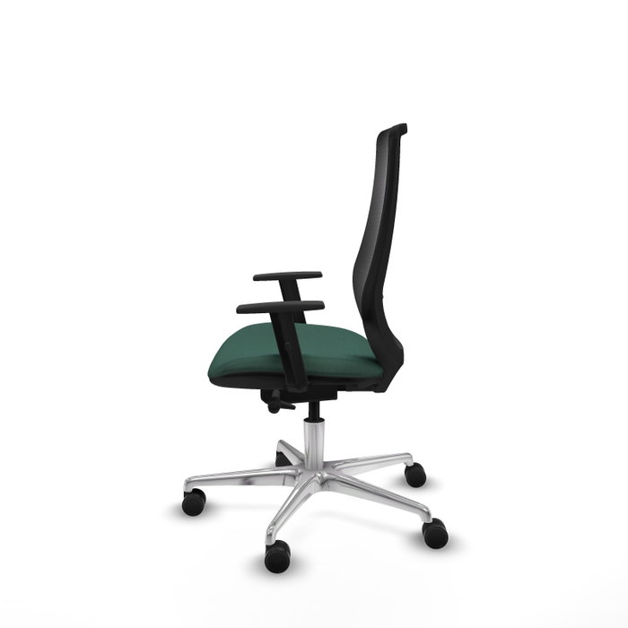 PIQUERAS Y CRESPO Silla de oficina Mardos con mecanismo Sincro/Traslack, Verde botella y Negro PIQUERAS Y CRESPO Silla de oficina Mardos con mecanismo Sincro/Traslack, Verde botella y Negro