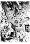 Tebeos Dolmen Editorial S.L. Rogue Trooper: Muerte de un Soldado