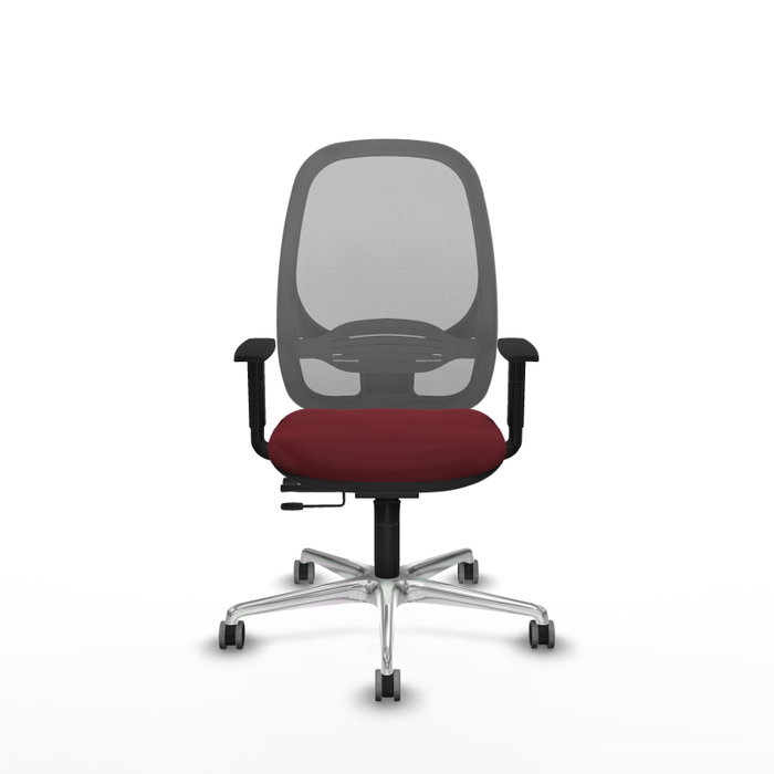 PIQUERAS Y CRESPO Silla de oficina Cilanco con mecanismo Sincro/Traslack, Granate y Gris PIQUERAS Y CRESPO Silla de oficina Cilanco con mecanismo Sincro/Traslack, Granate y Gris
