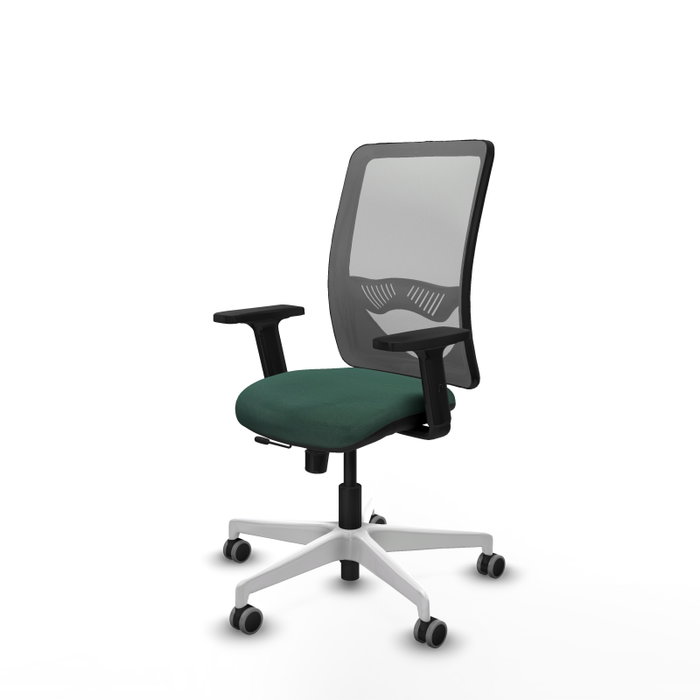 PIQUERAS Y CRESPO Silla de oficina Zulema con mecanismo Sincro/Traslack, Verde botella y Gris PIQUERAS Y CRESPO Silla de oficina Zulema con mecanismo Sincro/Traslack, Verde botella y Gris