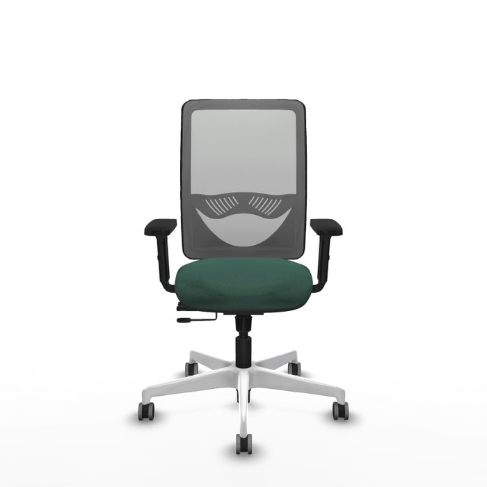 PIQUERAS Y CRESPO Silla de oficina Zulema con mecanismo Sincro/Traslack, Verde botella y Gris PIQUERAS Y CRESPO Silla de oficina Zulema con mecanismo Sincro/Traslack, Verde botella y Gris