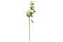 DKD Home Decor Flor Artificial Blanca y Verde 15 x 70 x 15 cm (12 Unidades) Tacto Real