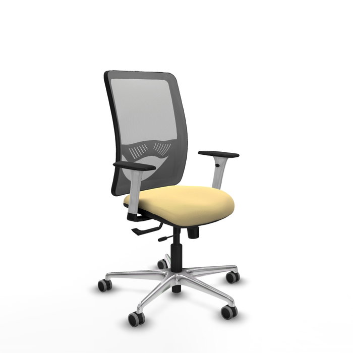 PIQUERAS Y CRESPO Silla de oficina Zulema con mecanismo Sincro/Traslack Crema y Gris PIQUERAS Y CRESPO Silla de oficina Zulema con mecanismo Sincro/Traslack Crema y Gris