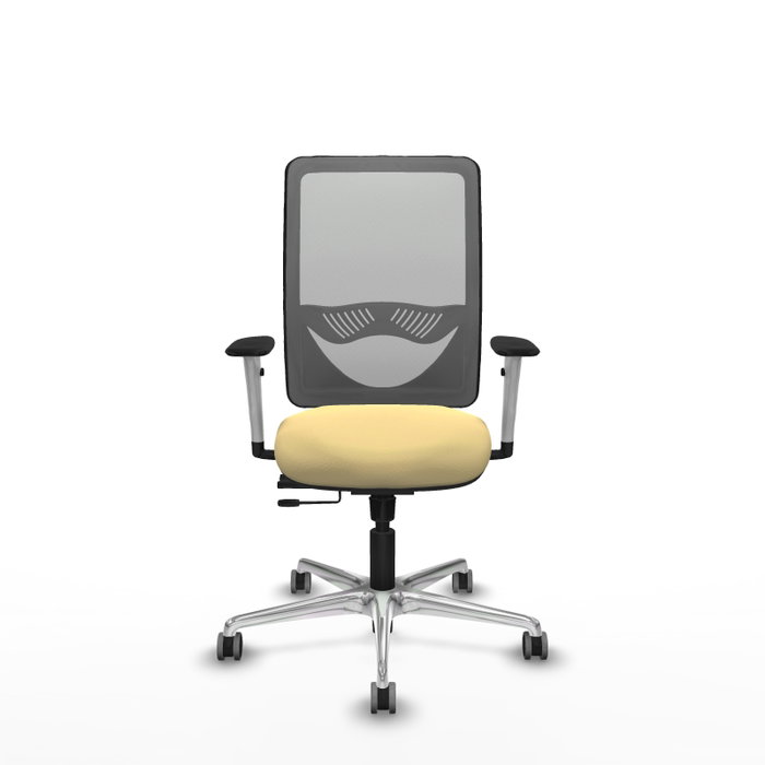 PIQUERAS Y CRESPO Silla de oficina Zulema con mecanismo Sincro/Traslack Crema y Gris PIQUERAS Y CRESPO Silla de oficina Zulema con mecanismo Sincro/Traslack Crema y Gris
