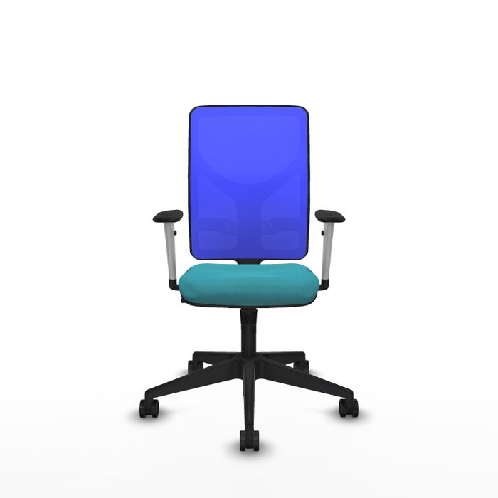 PIQUERAS Y CRESPO Silla de oficina Motilla con mecanismo Sincro, Turquesa y Azul PIQUERAS Y CRESPO Silla de oficina Motilla con mecanismo Sincro, Turquesa y Azul