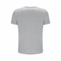 Camiseta de Manga Corta Hombre Russell Athletic AMT A40101 Gris