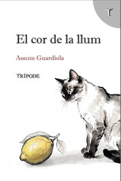 El cor de la llum, Assum Guardiola - TRIPODE