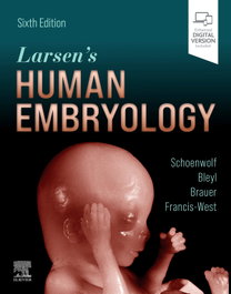 ELSEVIER UK Larsen's Human Embryology, C. Schoenwolf, Gary - ELSEVIER UK