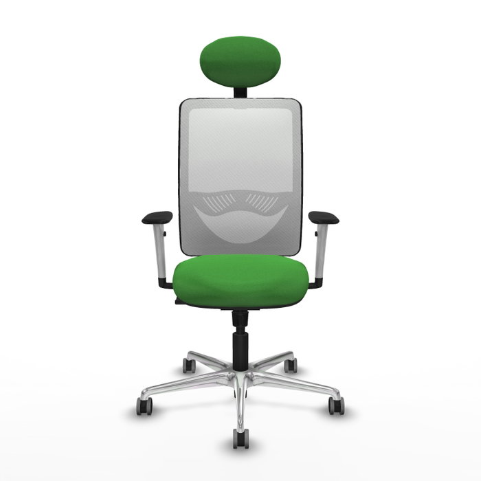 PIQUERAS Y CRESPO Silla de oficina Zulema con Mecanismo Sincro, Verde y Blanco PIQUERAS Y CRESPO Silla de oficina Zulema con Mecanismo Sincro, Verde y Blanco