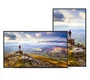 Sharp PN-E439 Pantalla de Señalización Digital 43 pulg 4K UHD LCD ADS