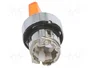 SCHNEIDER ELECTRIC Interruptor Rotativo Harmony XB4 Naranja 22mm