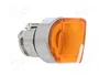 SCHNEIDER ELECTRIC Interruptor Rotativo Harmony XB4 Naranja 22mm