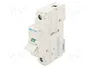 HAGER SBN163 Interruptor de aislamiento 63A 230VAC 1 Polo