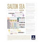 Devir Juego de Mesa Salton Sea: Gestión Empresarial y Energía Renovable con Litio