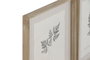 DKD Home Decor Cuadro Abeto Cristal Botánico Surtido de 9 Piezas