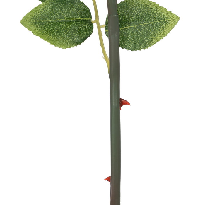 Flor Rosa Rosa Pvc-Tejido Decoración 69 cm (Set de 24)