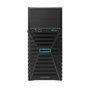 Servidor Hewlett Packard P65397-421 Intel Xeon 16 GB RAM