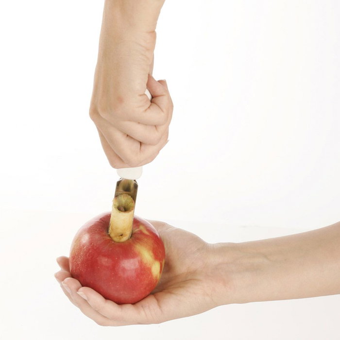 Tescoma Vaciador de Manzanas Presto Acero Inoxidable Plástico