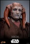 Hot Toys Star Wars Saesee Tiin Movie Masterpiece 1/6 Figura
