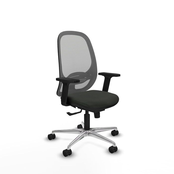 PIQUERAS Y CRESPO Silla de oficina Cilanco con Mecanismo Sincro Negro/Gris PIQUERAS Y CRESPO Silla de oficina Cilanco con Mecanismo Sincro Negro/Gris