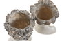 DKD Home Decor Set de 2 Maceteros de Resina Gris con Acabado Envejecido