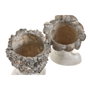 DKD Home Decor Set de 2 Maceteros de Resina Gris con Acabado Envejecido