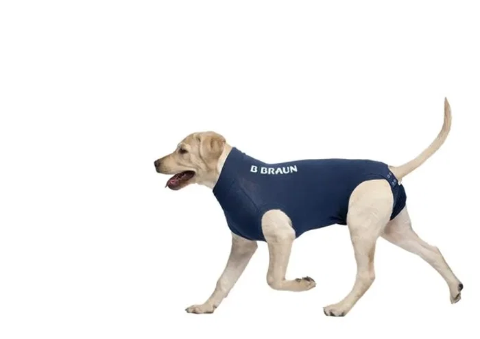 B. Braun Camiseta Protectora para Perro L 67cm Azul B. Braun Camiseta Protectora para Perro L 67cm Azul