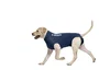 B. Braun Camiseta Protectora para Perro L 67cm Azul