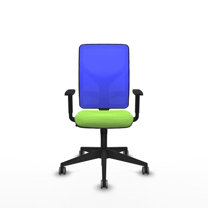 PIQUERAS Y CRESPO Silla de oficina Motilla con mecanismo Sincro, Azul y Pistacho PIQUERAS Y CRESPO Silla de oficina Motilla con mecanismo Sincro, Azul y Pistacho