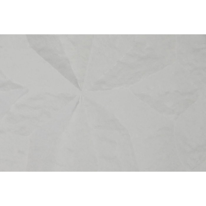 DKD Home Decor Set de 2 Cuadros Abeto MDF con Relieve Blanco 58,5x92,5 cm