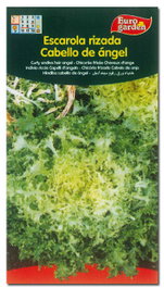 Semillas Fito Horticolas Escarola Cabello de Ángel