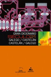 Gran Dicionario Século 21, Hermida Borrajo, López Martínez, Pena Romay, Ferreiro Rodríguez, Pampín Otero, Rodrig - PROXECTO SECULO 21
