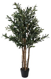 DKD Home Decor Árbol de Olivo Verde y Marrón 60x60x122 cm