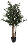 DKD Home Decor Árbol de Olivo Verde y Marrón 60x60x122 cm