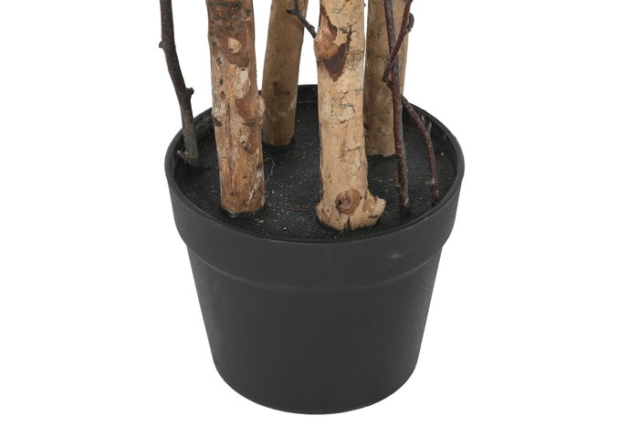 DKD Home Decor Árbol de Olivo Verde y Marrón 60x60x122 cm
