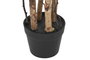 DKD Home Decor Árbol de Olivo Verde y Marrón 60x60x122 cm